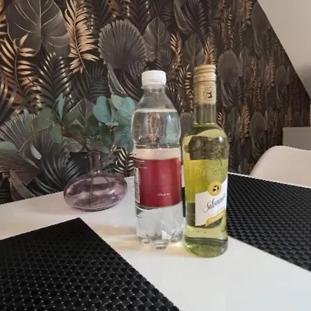 Homestay Gemuetliche Dachgeschosswohnung Zur Alleinnutzung Mit Kl Kueche & Bad Bayreuth